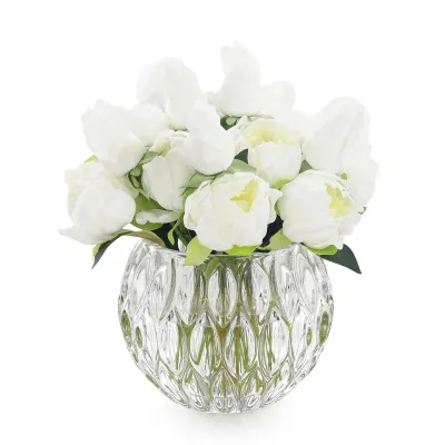 Winter White Peonies