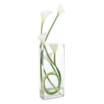 Classic Calla Lilies