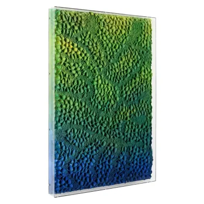 Tony Fey's Marine Flora