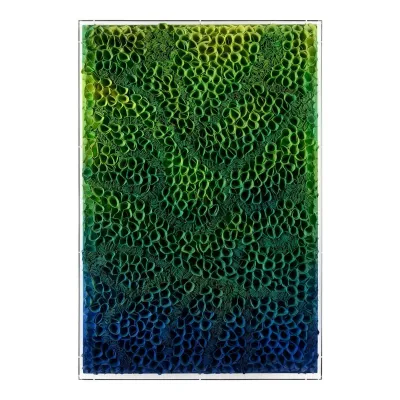 Tony Fey's Marine Flora
