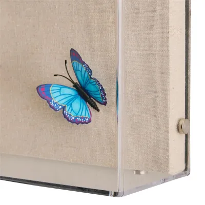 Tony Fey's Flight of the Butterflies