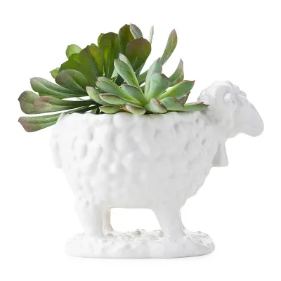 Clever Creatures Ram Bowl