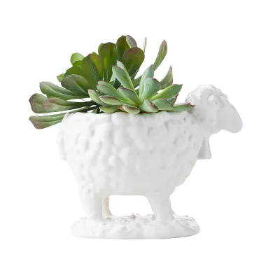 Clever Creatures Ram Bowl