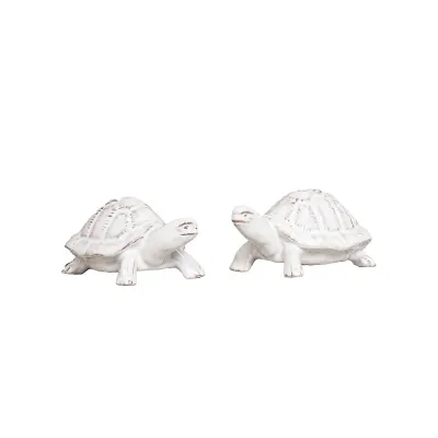 Clever Creatures Turtle Salt and Pepper Shakers Set of 2 pc