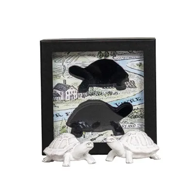 Clever Creatures Turtle Salt and Pepper Shakers Set of 2 pc