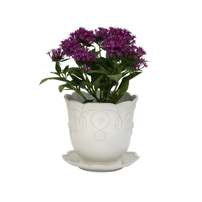 Jardins Du Monde 7" Planter - Whitewash