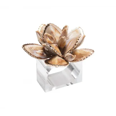 Beachcomber Natural Napkin Ring Set of 4 in a Gift Box