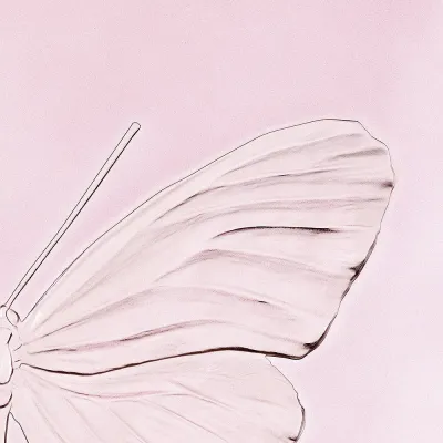 Eternal Hope Panel, Limited Edition (50 Pieces), Pink Crystal (Special Order)