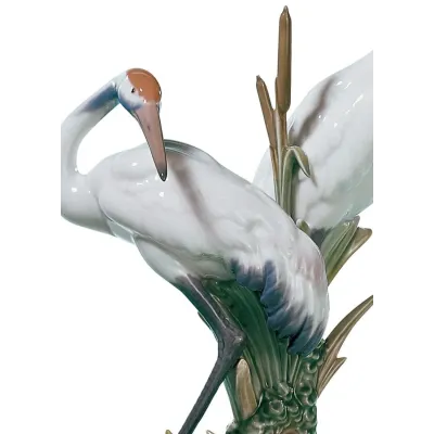 Courting Cranes