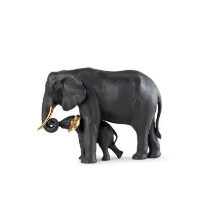 Leading The Way (Black - Gold)