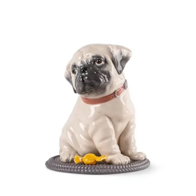 Puppie Pug