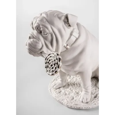 Bulldog With Lollipop (Re - Deco)