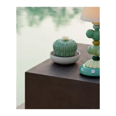 Astrophytum Cactus Diffuser Gardens Of Valencia Scent