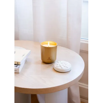 Lotus Flower Gardens of Valencia Candle