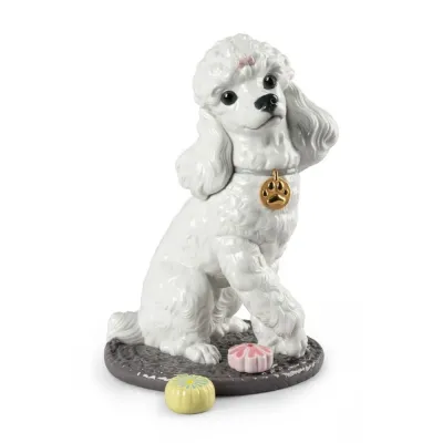 Poodle With Mochis
