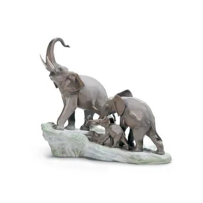 Elephants Walking