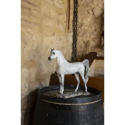 Arabian Pure Breed (Special Order)