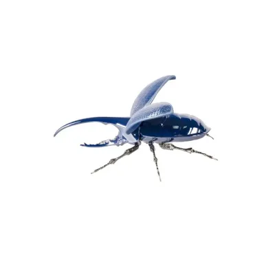 Hercules Beetle