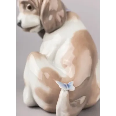 Gentle Surprise