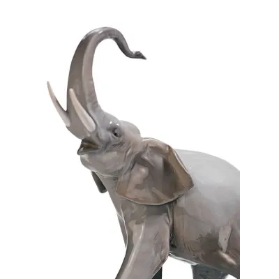Elephants Walking