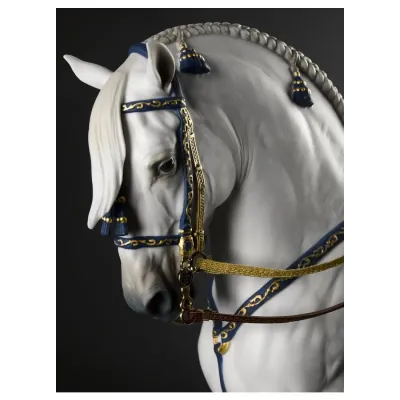 Spanish Pure Breed (Special Order)