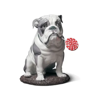 Bulldog With Lollipop