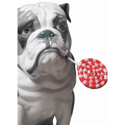 Bulldog With Lollipop