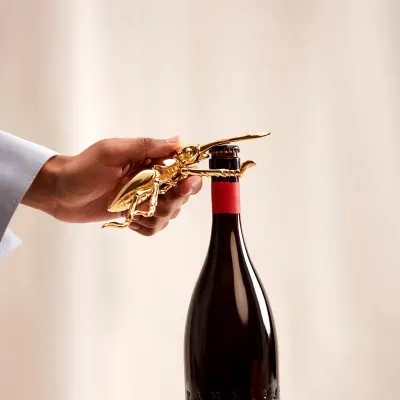 Longhorn Bottle Opener