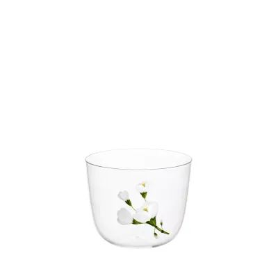 TS267GM Clear Jasmin Water Tumbler A