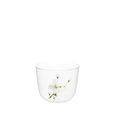 TS267GM Clear Jasmin Water Tumbler B
