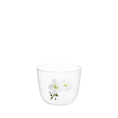 TS267GM Clear Jasmin Water Tumbler C