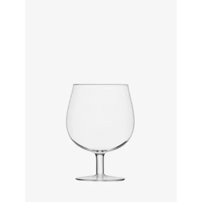 Bar Craft Beer Glass 19 oz Clear, Set of 2