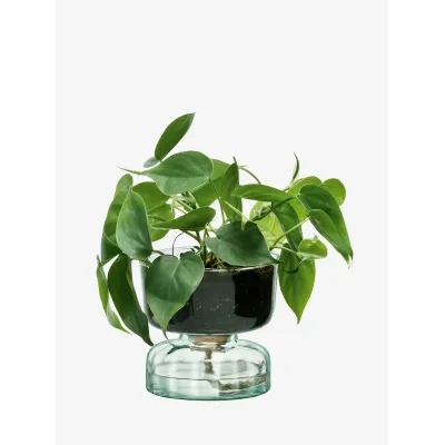 Canopy Self Watering Planter Height 5 in Recycled/Part Optic