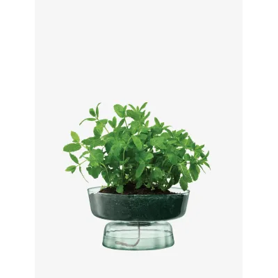 Canopy Self Watering Planter Height 5.75 in Recycled/Part Optic