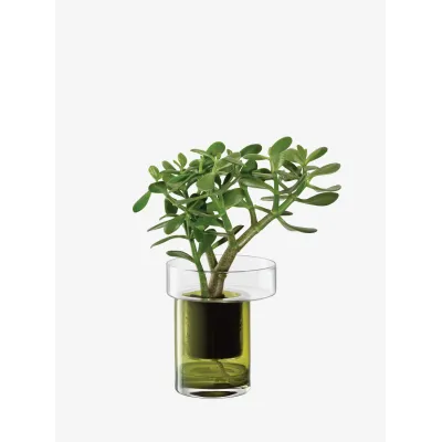 Balcony Self Watering Planter Height 7.5 in Round 6.25 in Clear/Olive Green