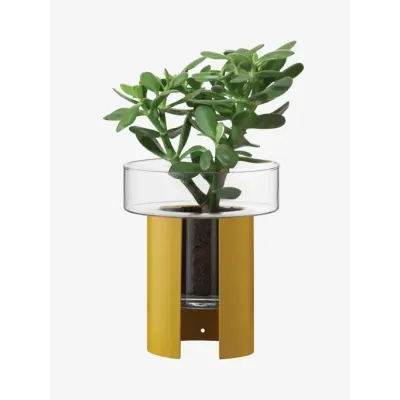 Terrazza Planter Height 8.75 in Round 7.5 in Clear/Mustard Yellow