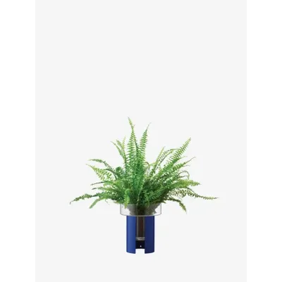 Terrazza Planter Height 8.75 in Round 7.5 in Clear/Cobalt Blue