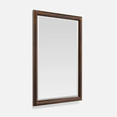 Franklin Antiqued Bronze Brass Rectangular Mirror 26"W x 38"H