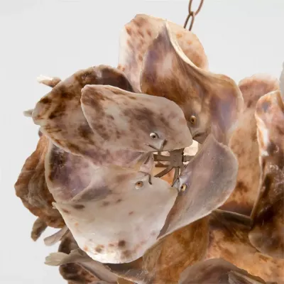 Venus 35"D x 23"H Natural Oyster Shell Chandelier