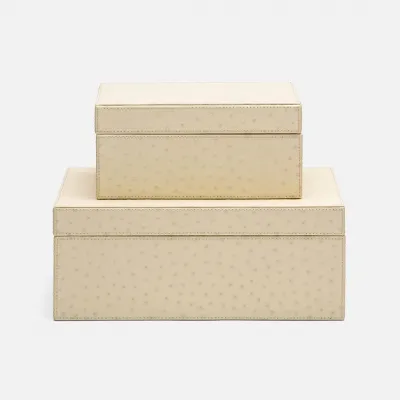 Zsa Zsa Box Set of Two Cream Ostrich Full-Grain Leather