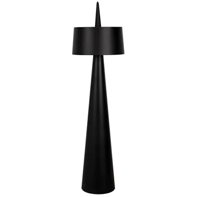 Moray Floor Lamp, Black Metal