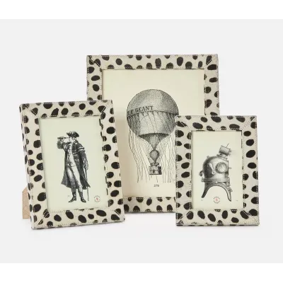 Hana Dalmatian Print Frames