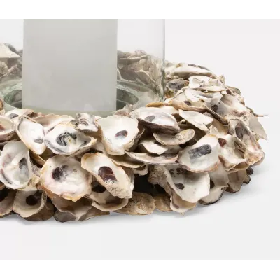 Novi Natural Hurricane Oyster Shell