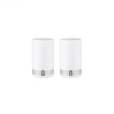 Regency Platinum Salt & Pepper Shaker (Special Order)