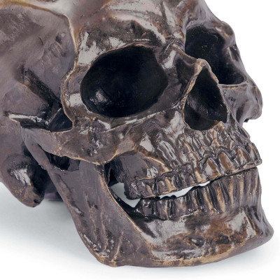 Metal Skull, Antique Bronze