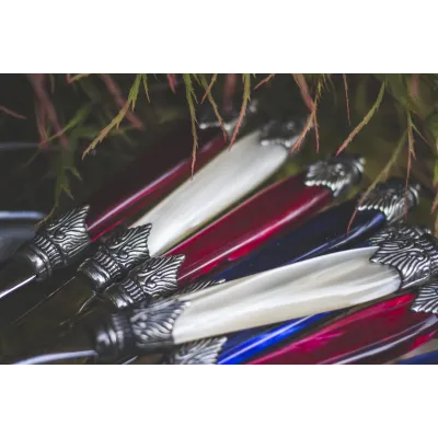 Arianna Bordeaux Flatware