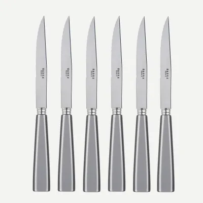 Icon Grey Set Of 6 Steak Knives