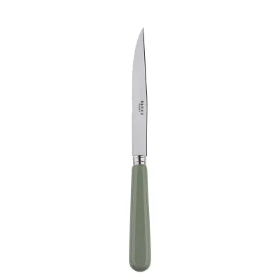 Basic Asparagus Steak Knife 9"