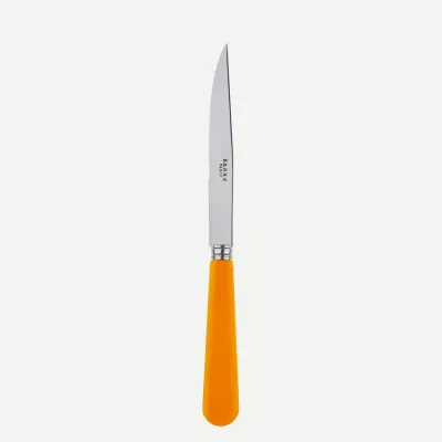 Duo Orange Steak Knife