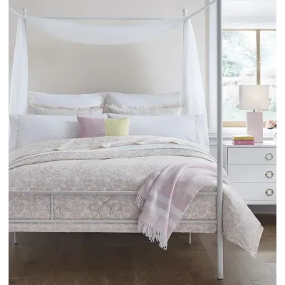 Prato Carnation Bedding